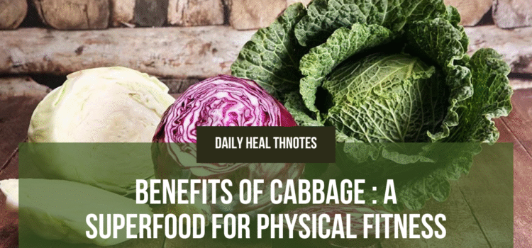 Benefits of Cabbage: A Superfood for Physical Fitness