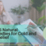 Top 5 Natural Remedies for Cold and Flu Relief